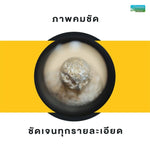 โหลดรูปภาพลงในเครื่องมือใช้ดูของ Gallery กล้องส่องพระ Nikon XP 10x พร้อมซองหนังโลโก้