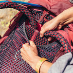 โหลดรูปภาพลงในเครื่องมือใช้ดูของ Gallery Kalmia 50 - GregoryThai